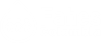 logo fahes colombia